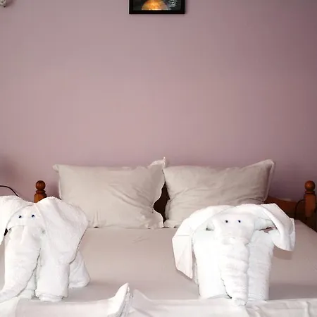 Zoya Guest house 2*