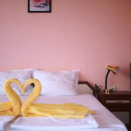 Guest house Zoya 2*