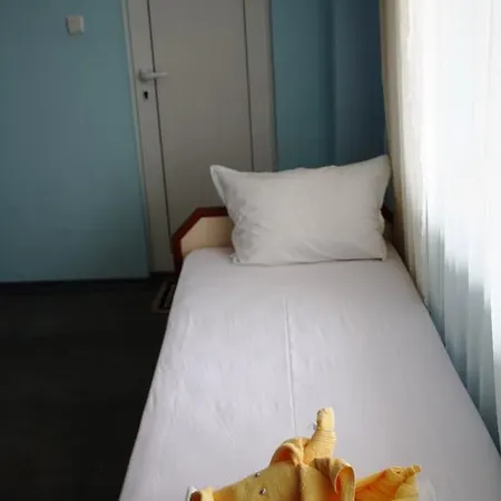 Guest house Zoya 2*