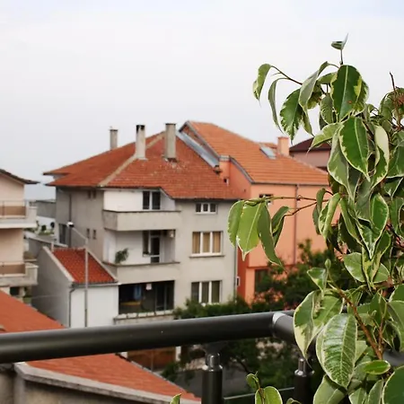 ゾヤ ゲスト ハウス