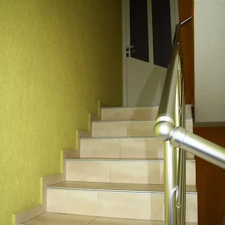 Zoya Guest house 2*