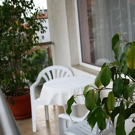 Zoya Guest house