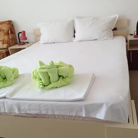 Guest house Zoya 2*