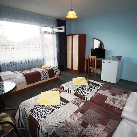 Guest house Zoya 2*