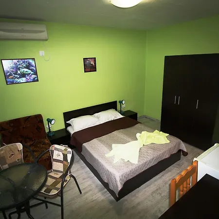 Zoya Guest house 2*