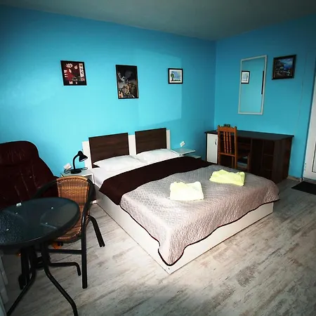 Guest house Zoya 2*