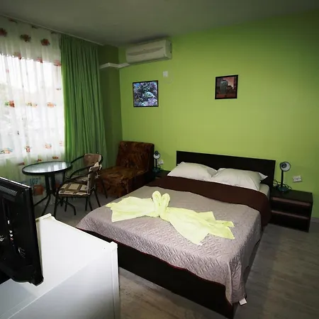 Zoya Guest house 2*