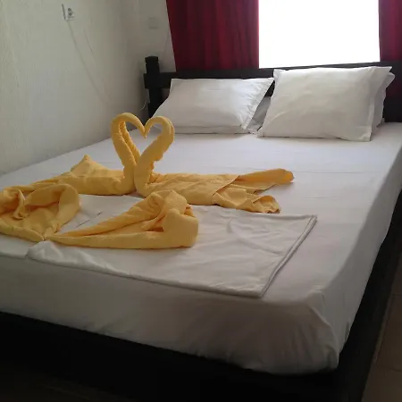 Guest house Zoya 2*
