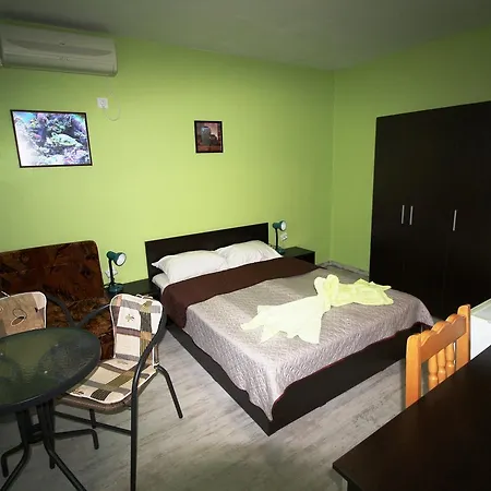 Guest house Zoya 2*